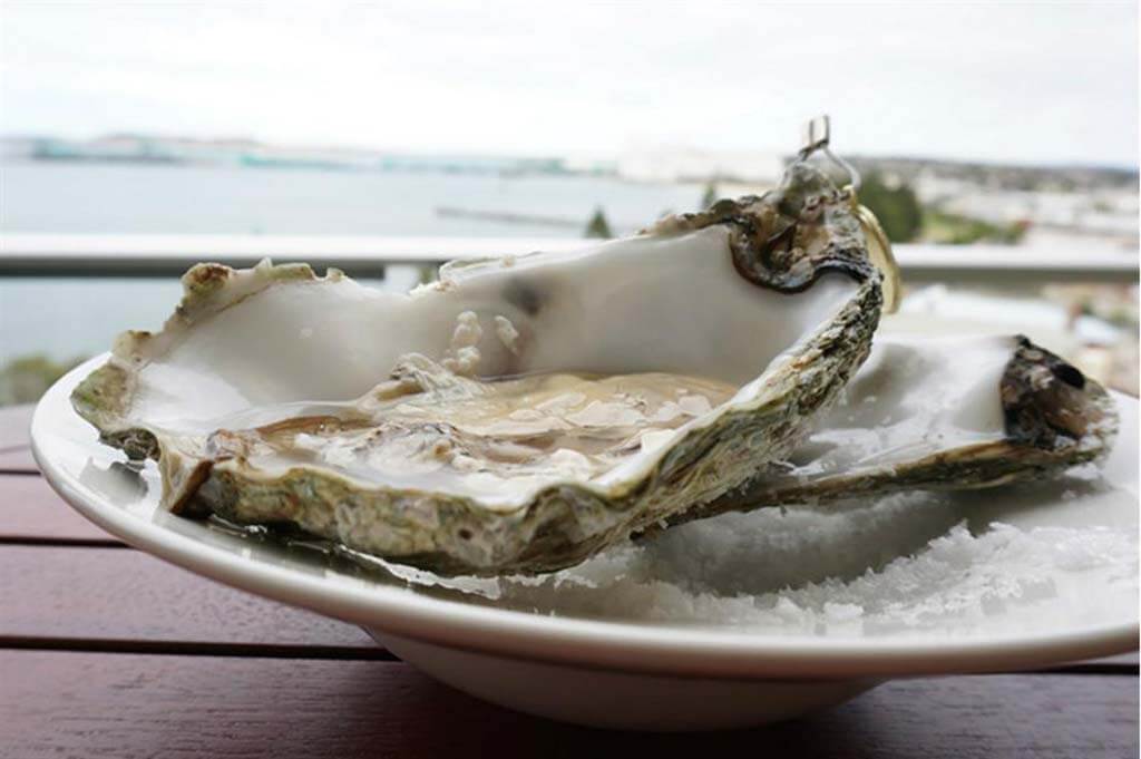 Coffin Bay King Oyster