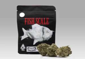 Fish Scale Cookies Package
