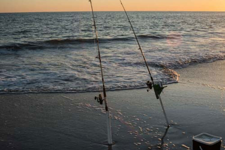 Fishing Rods For Surf Fishing