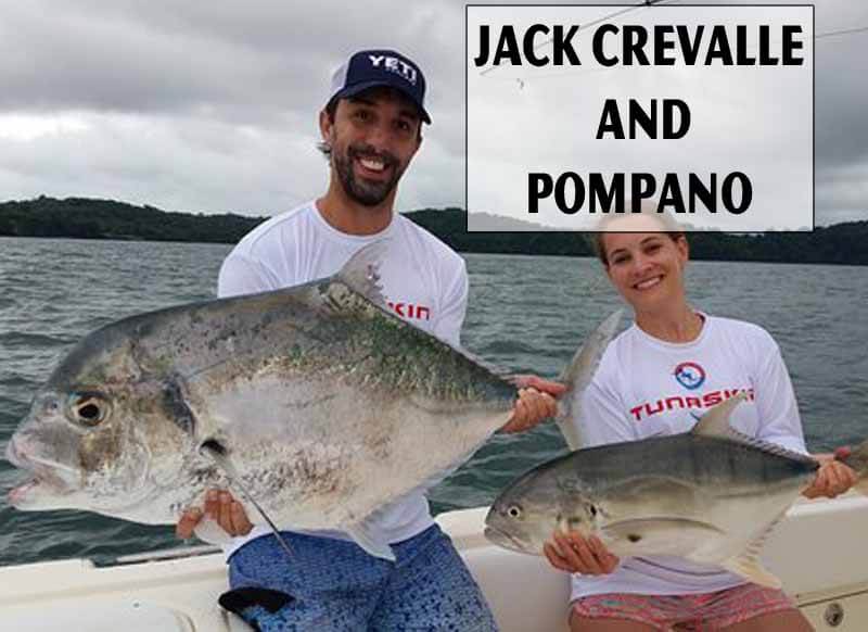 Jack Crevalle And A pompano
