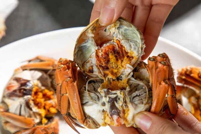 What Is The Yellow Stuff In Crabs? ouachitaadventures