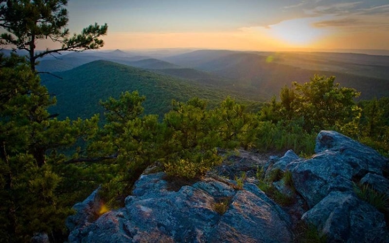 Top 3 Best Picnic Spots in Ouachita for Nature Lovers